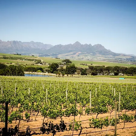 Lavinia Lifestyle Villa Stellenbosch Exterior photo
