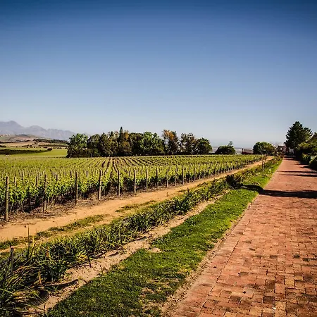 Lavinia Lifestyle Villa Stellenbosch Exterior photo