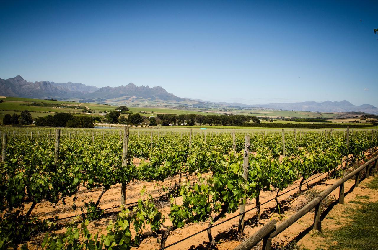 Lavinia Lifestyle * Stellenbosch