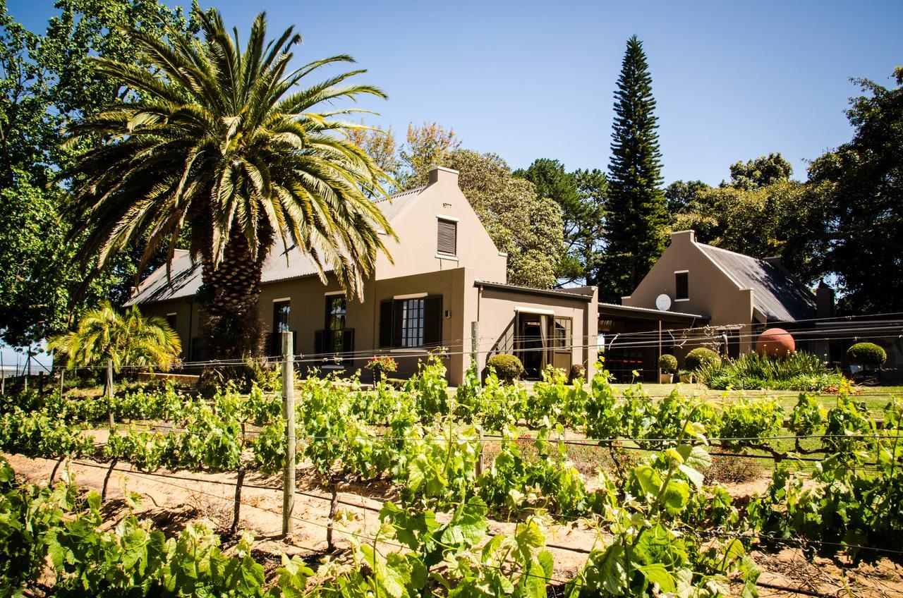 Lavinia Lifestyle Farm stay