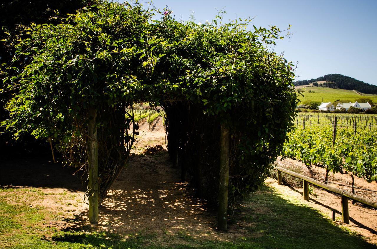 Farm stay Lavinia Lifestyle Stellenbosch