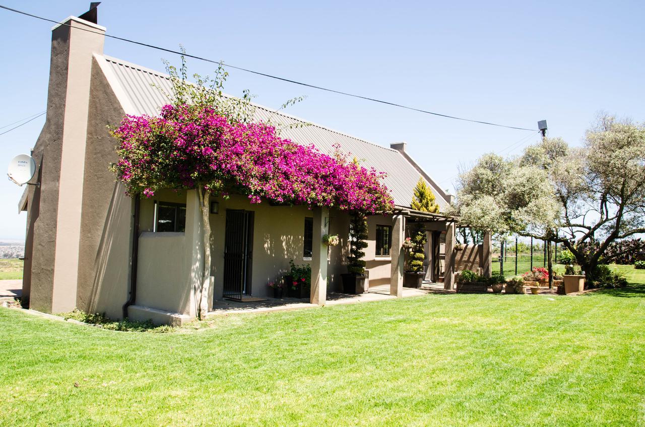 Lavinia Lifestyle Farm stay Stellenbosch