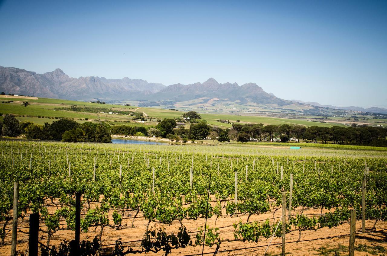 Lavinia Lifestyle Farm stay Stellenbosch