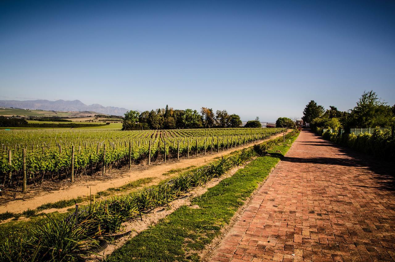 Lavinia Lifestyle Stellenbosch