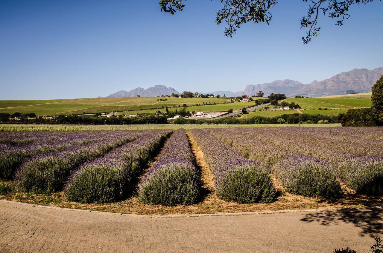 Lavinia Lifestyle Farm stay